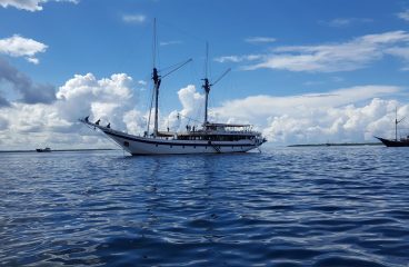 Our holiday from our holiday…