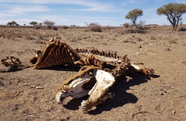 Initial Impressions of Namibia