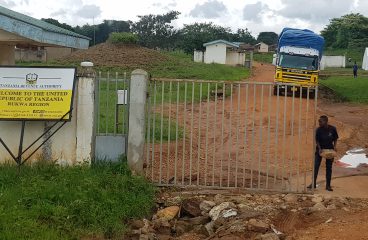 Busy Border Post – Not!