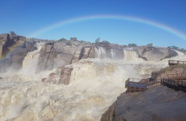 Falls and Felines