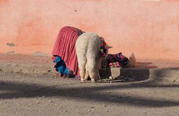 Bolivia Round Up