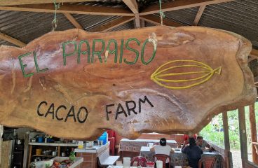 We Made Chocolate!