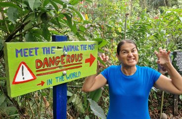 Ecuador – It’s a Jungle!