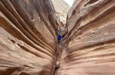 American Southwest 3: Canyon Lands to Capitol Reef NP